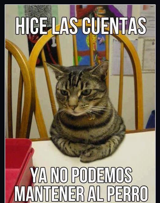 Hice las cuentas, ya no podemos mantener al perro.