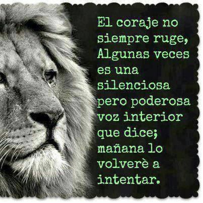 El coraje no siempre ruge, algunas veces es una forma silenciosa pero poderosa voz interior que dice; mañana lo volveré a intentar.