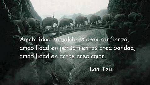 Amabilidad en palabras crea confianza, amabilidad en pensamientos crea bondad, amabilidad en actos crea amor. Lao Tzu