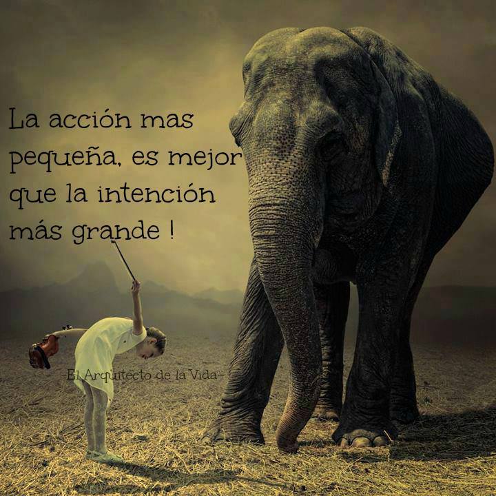 La acción más pequeña, es mejor que la intención más grande.