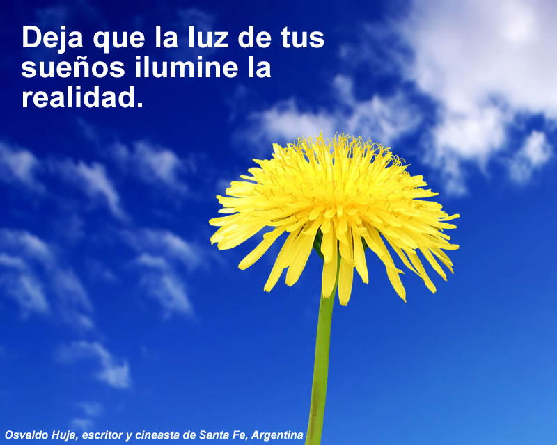 Deja que la luz de tus sueños ilumine la realidad.