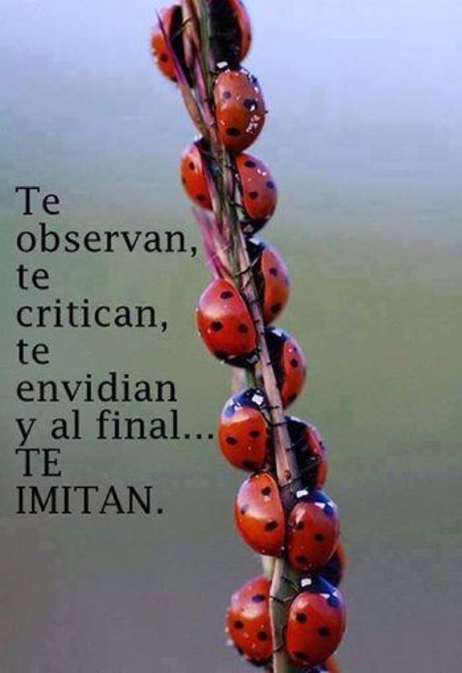 Te observan, te critican, te envidian y al final Te Imitan.