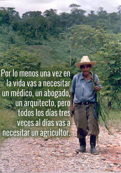 Por lo menos una vez en la vida vas a necesitar un médico, un abogado, un arquitecto, pero todos los días tres veces al día vas a necesitar un agricultor.