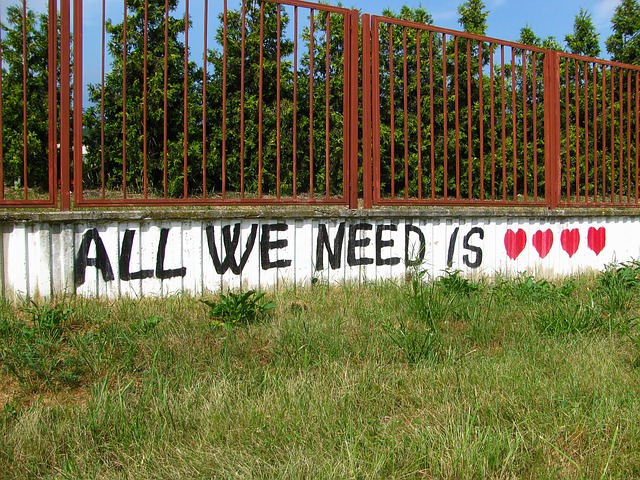 All we need is love. Lo que necesitas es amor