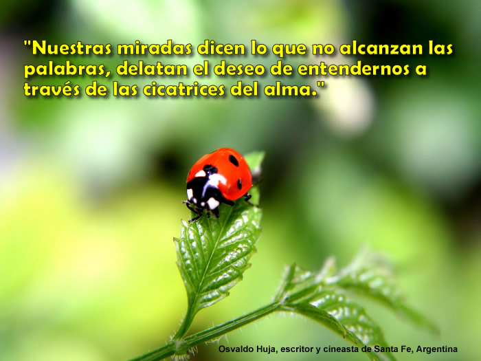 Nuestras miradas dicen lo que no alcanzan las palabras, delatan el deseo de entendernos a través de las cicatrices del alma.