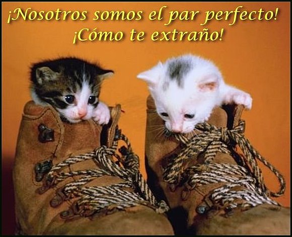 ¿Nosotros somos el par perfecto! ¡ Como te extraño!