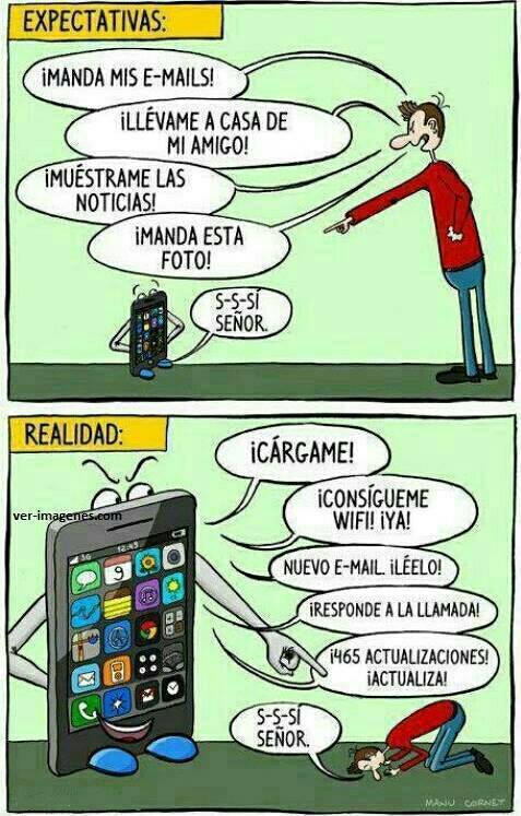 Expectativas y Realidad