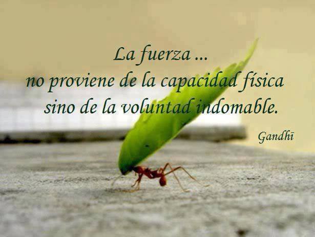 La fuerza... no proviene de la capacidad física sino de la voluntad indomable. Gandhi