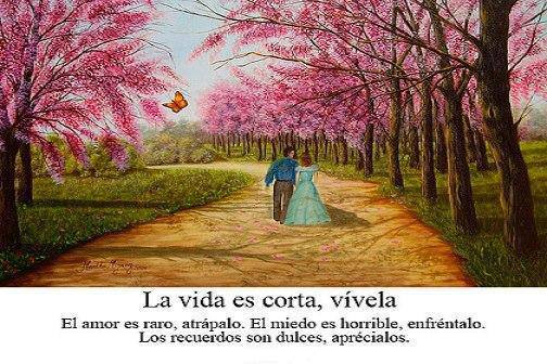 La vida es corta, vívela. El amor es raro, atrápalo. El miedo es horrible, enfréntalo. Los recuerdos son dulces, aprécialos