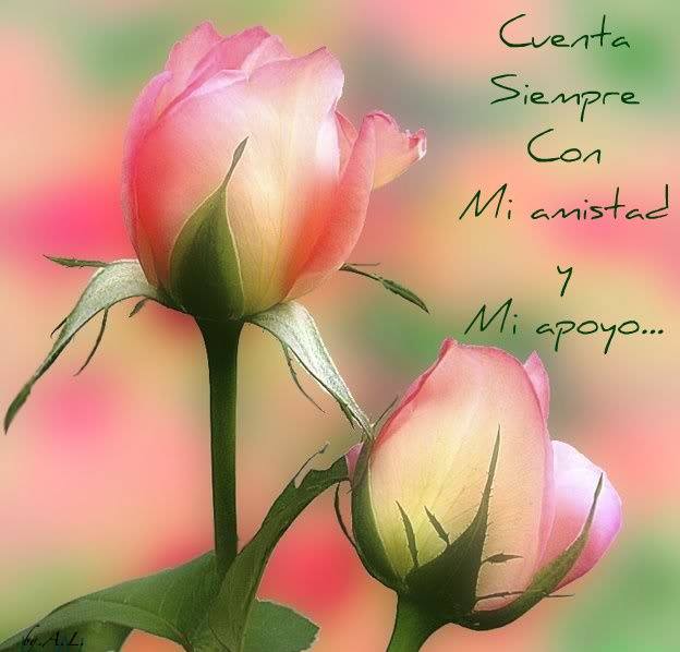 Cuenta siempre con mi amistad