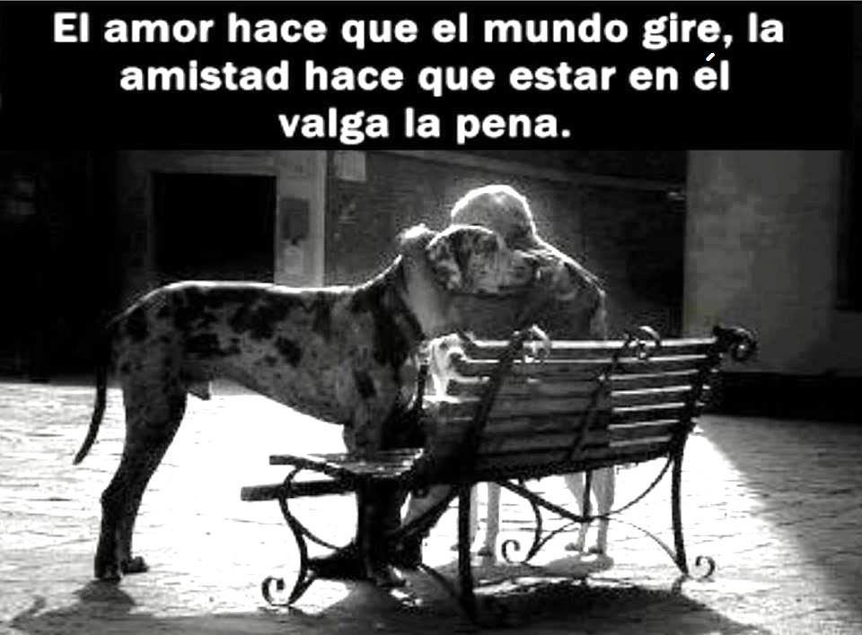 El amor hace que el mundo gire