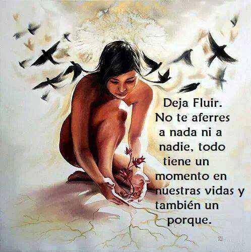 Deja Fluir. No te aferres a nada ni a nadie, todo tiene un momento en nuestras vidas y también un porque.