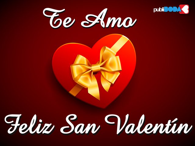 Te Amo. Feliz San Valentín