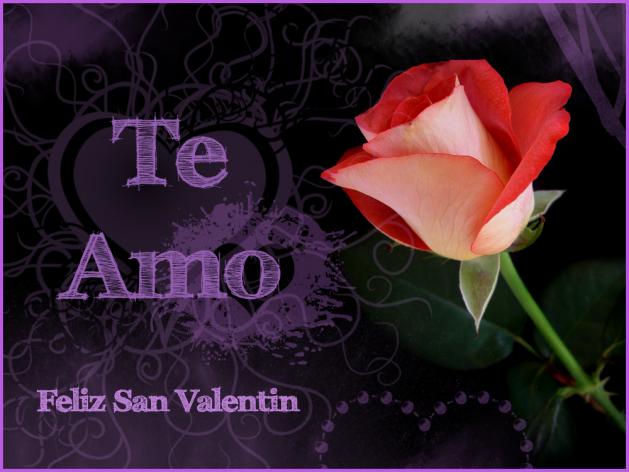 Te Amo. Feliz San Valentín