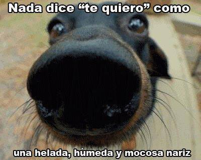 Nada dice “te quiero” como…
