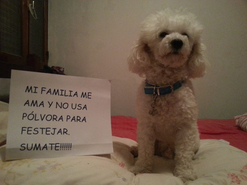 Mi familia me ama y no usa pólvora para festejar. Sumate!!!!!