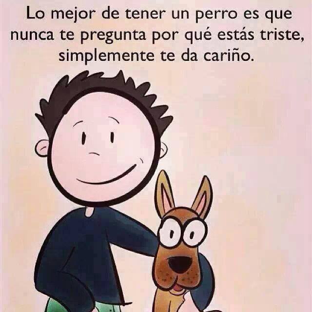Lo mejor de tener un perro