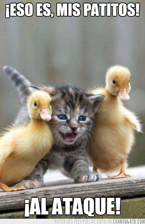 ¡ Eso es, mis patitos! ¡Al Ataque!