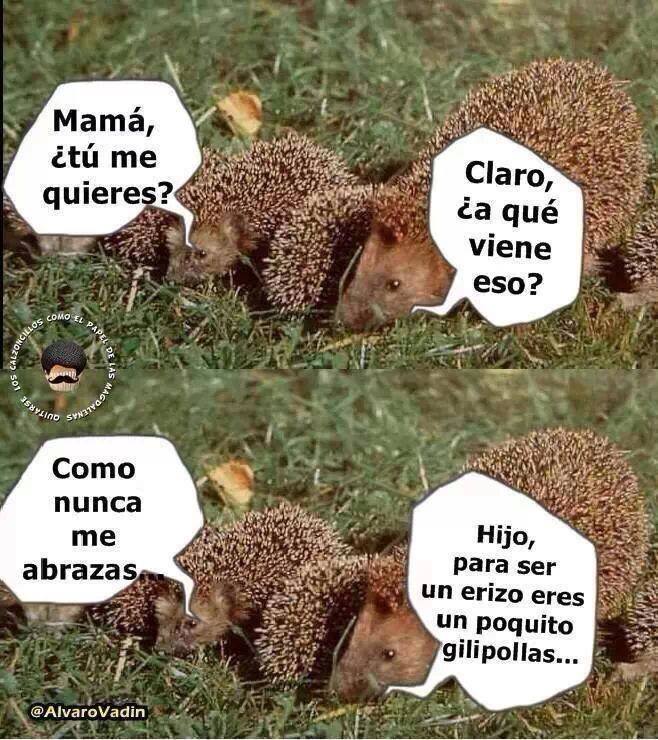 Mamá ¿Tú me quieres? Claro ¿A qué viene eso? Como nunca me abrazas. Hijo para ser un erizo, eres un poquito gilipollas...