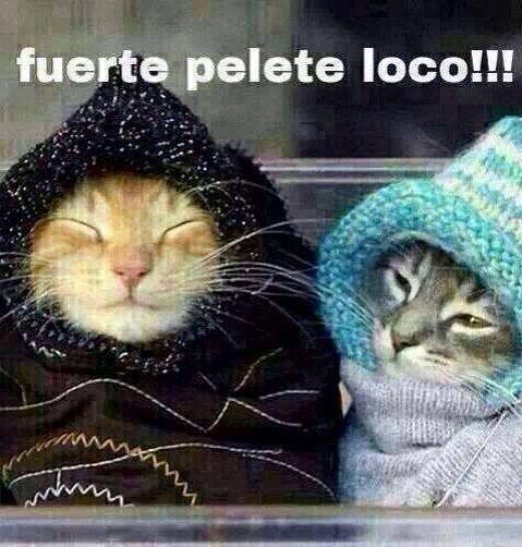 Fuerte pelete loco!!!