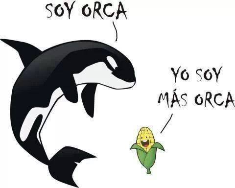 Soy Orca, Yo soy más orca