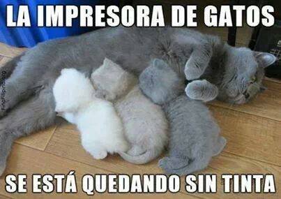 La impresora de gatos. Se está quedando sin tinta.