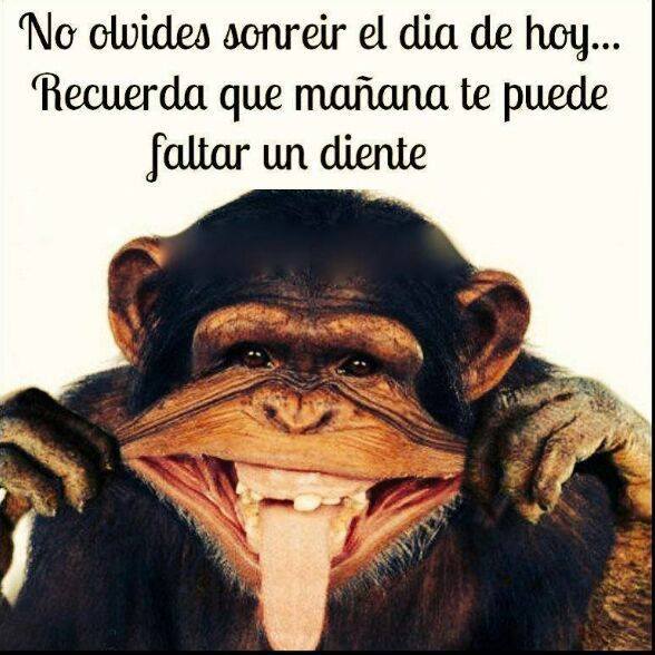 No olvides sonreír el día de hoy…