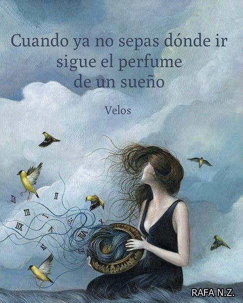Cuando ya no sepas donde ir…