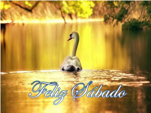 Feliz Sábado