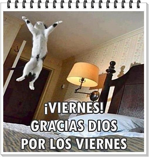 ¡Viernes! Gracias Dios por los Viernes