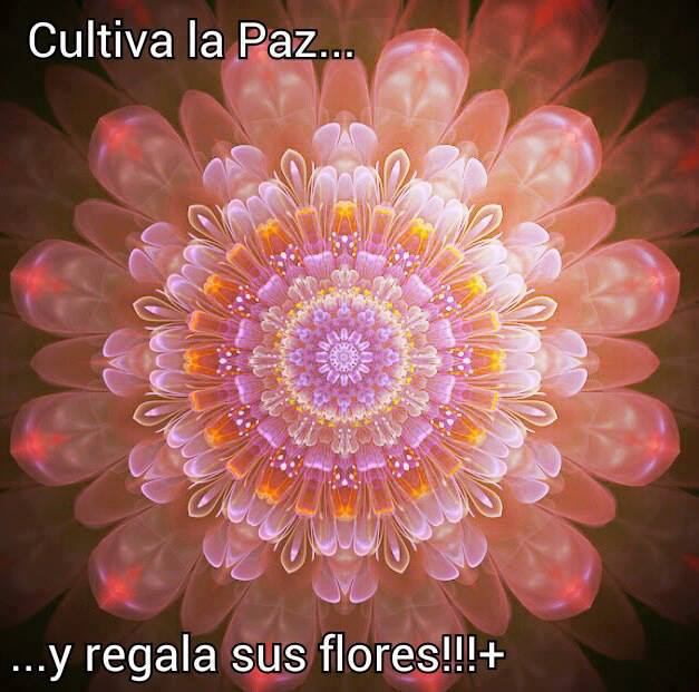Cultiva la Paz...y regala sus flores!!!