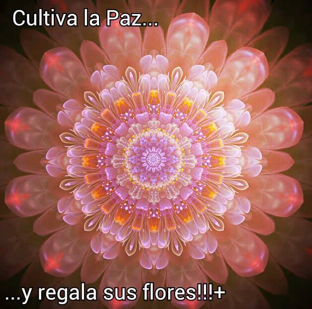 Cultiva la Paz…y regala sus flores!!!
