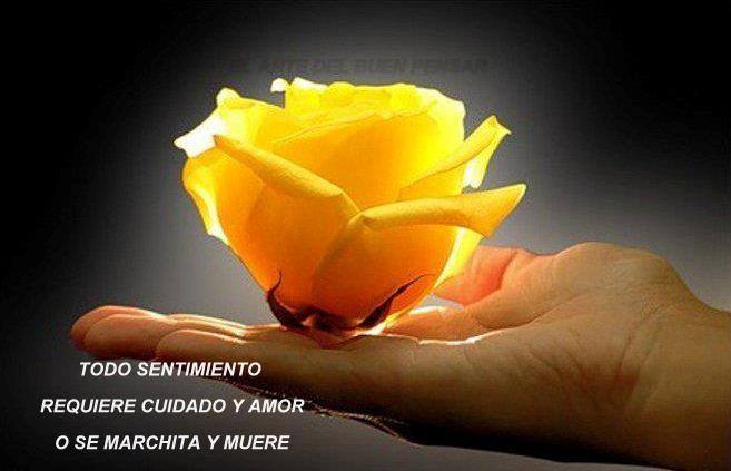Todo sentimiento requiere cuidado y amor o se marchita y muere.