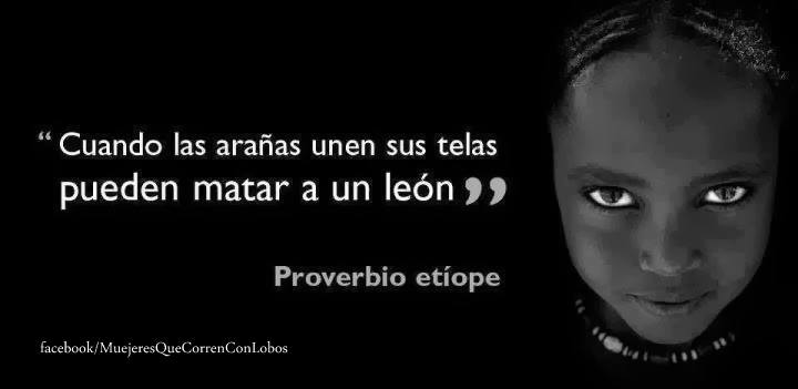 Cuando las arañas unen sus telas, pueden matar a un león. Proverbio Etíope.