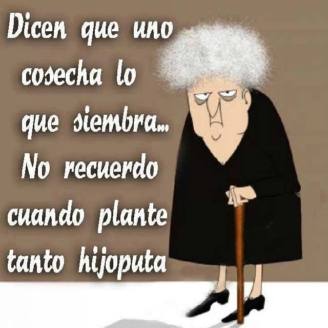 Dicen que uno cosecha lo que siembra