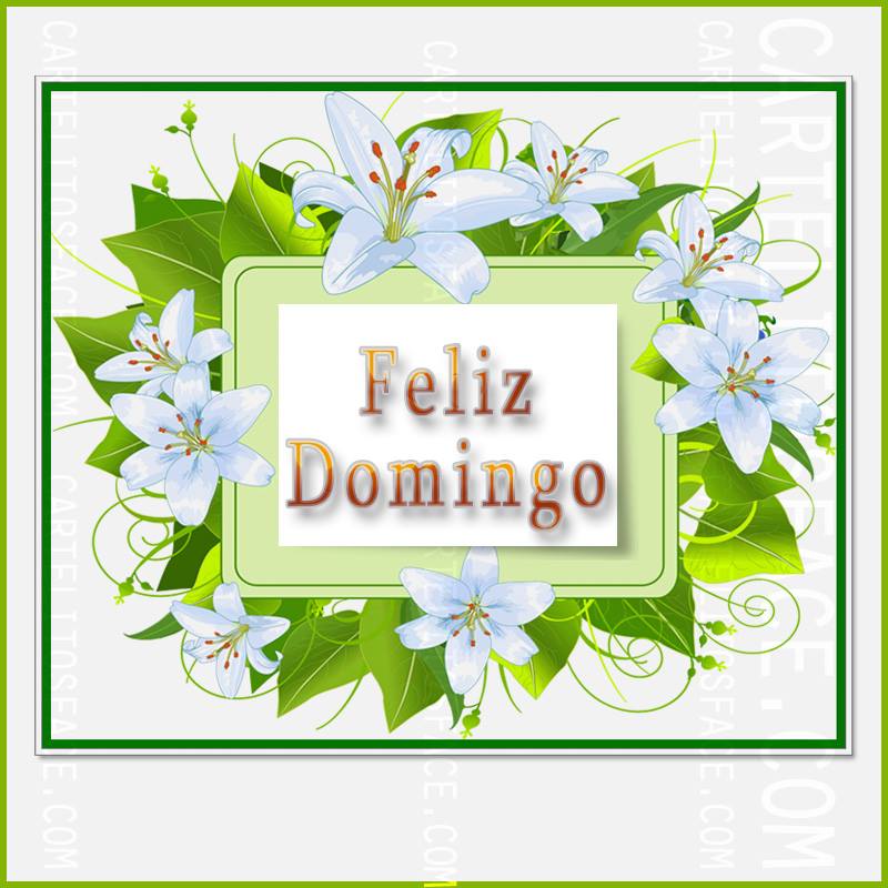 Feliz Domingo