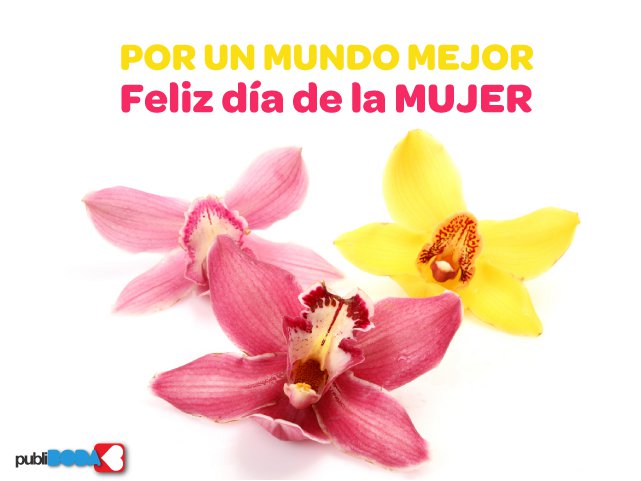 Dia de la Mujer. La Mancha y sus mujeres…