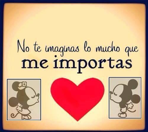 No te imaginas lo mucho que me importas
