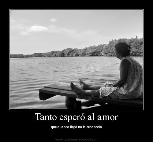 Tanto esperó al amor que cuando llegó no lo reconoció.