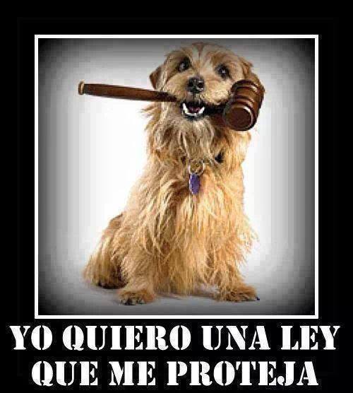 Yo quiero una ley que me proteja