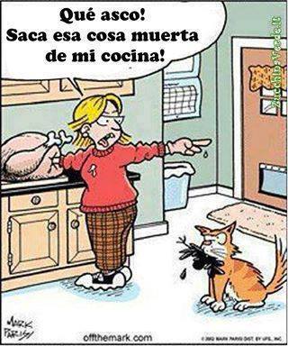 Qué asco!! Saca esa cosa muerta de mi cocina!