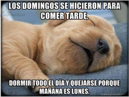 Los Domingos se hicieron para comer tarde, dormir todo el día y quejarse porque mañana es Lunes.