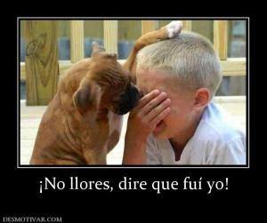 ¡No llores diré que fui yo!