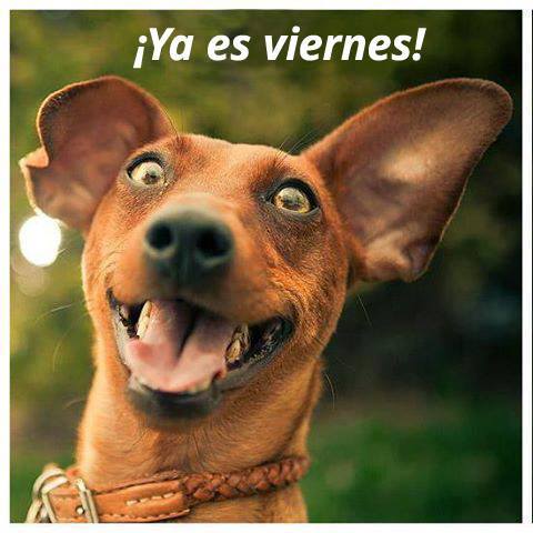 ¡Ya es Viernes!