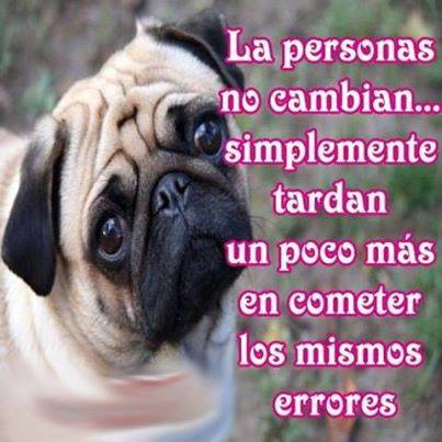 Las personas no cambian...simplemente tardan un poco más en cometer los mismos errores.