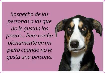 Sospecho de las personas…