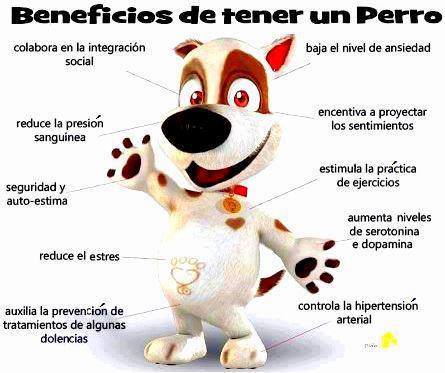 Beneficios de tener un perro