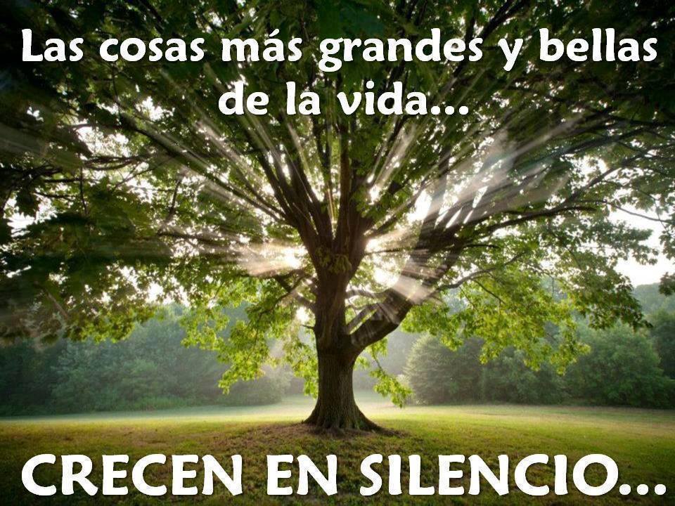 Las cosas más grandes y bellas de la vida…
