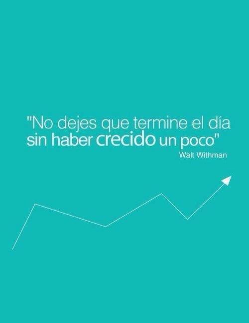 No dejes que termine el día sin haber crecido un poco.