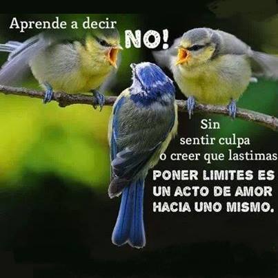 Aprende a decir No!